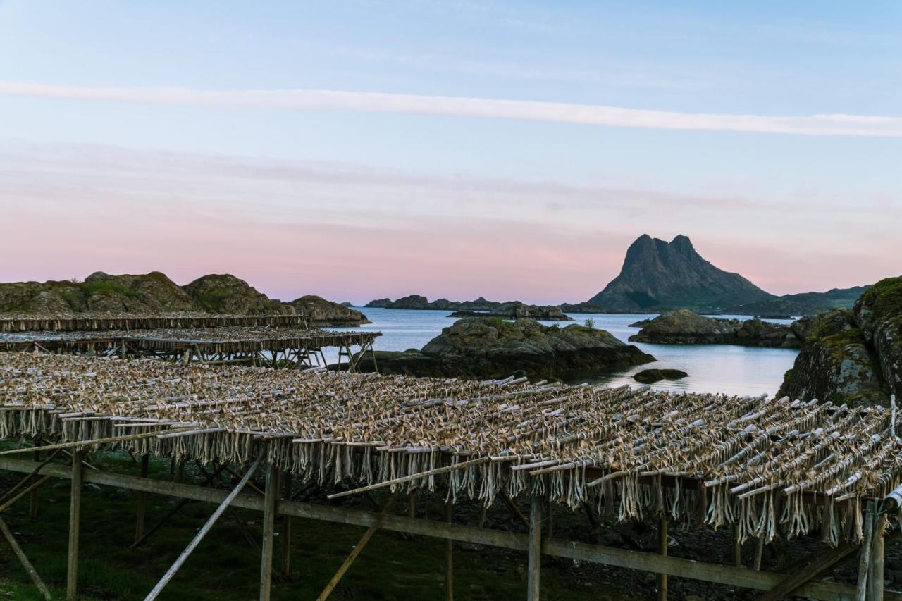Live Lofoten Hotel ستامسوند المظهر الخارجي الصورة